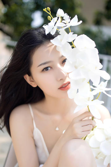 国王与小鸟（国语版）